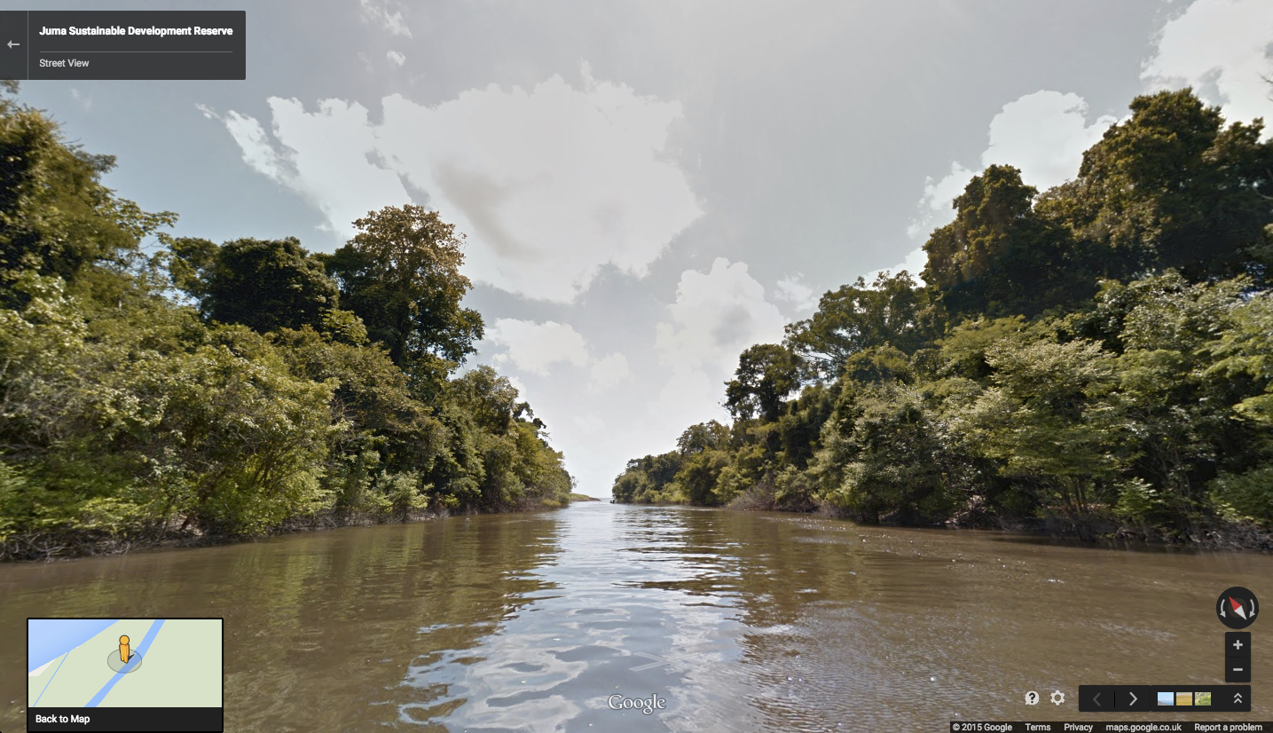 Google Street View extended to the Amazon rainforest Techgoondu