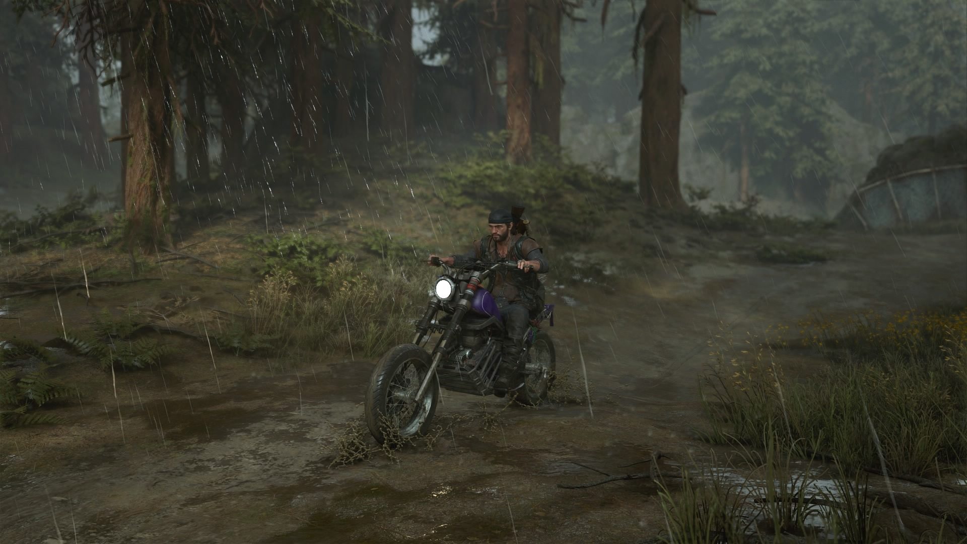 Goondu review: Days Gone story campaign and DLC - Techgoondu